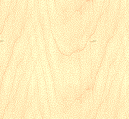 wood.gif